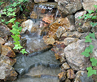 Water Features and Night Lighting