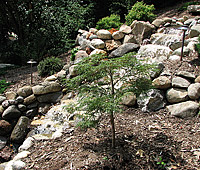 Water Features and Night Lighting