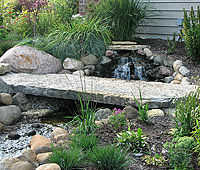 Water Features and Night Lighting